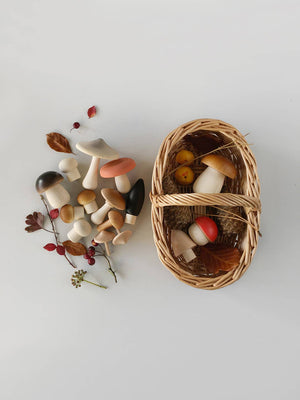 Moon Picnic | Forest Mushrooms Basket