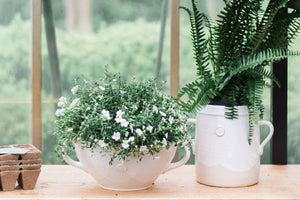 White European Clay Handthrown Crock