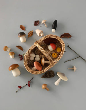 Moon Picnic | Forest Mushrooms Basket