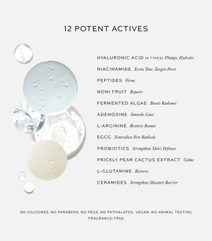 Westman Atelier | Skin Activator Serum