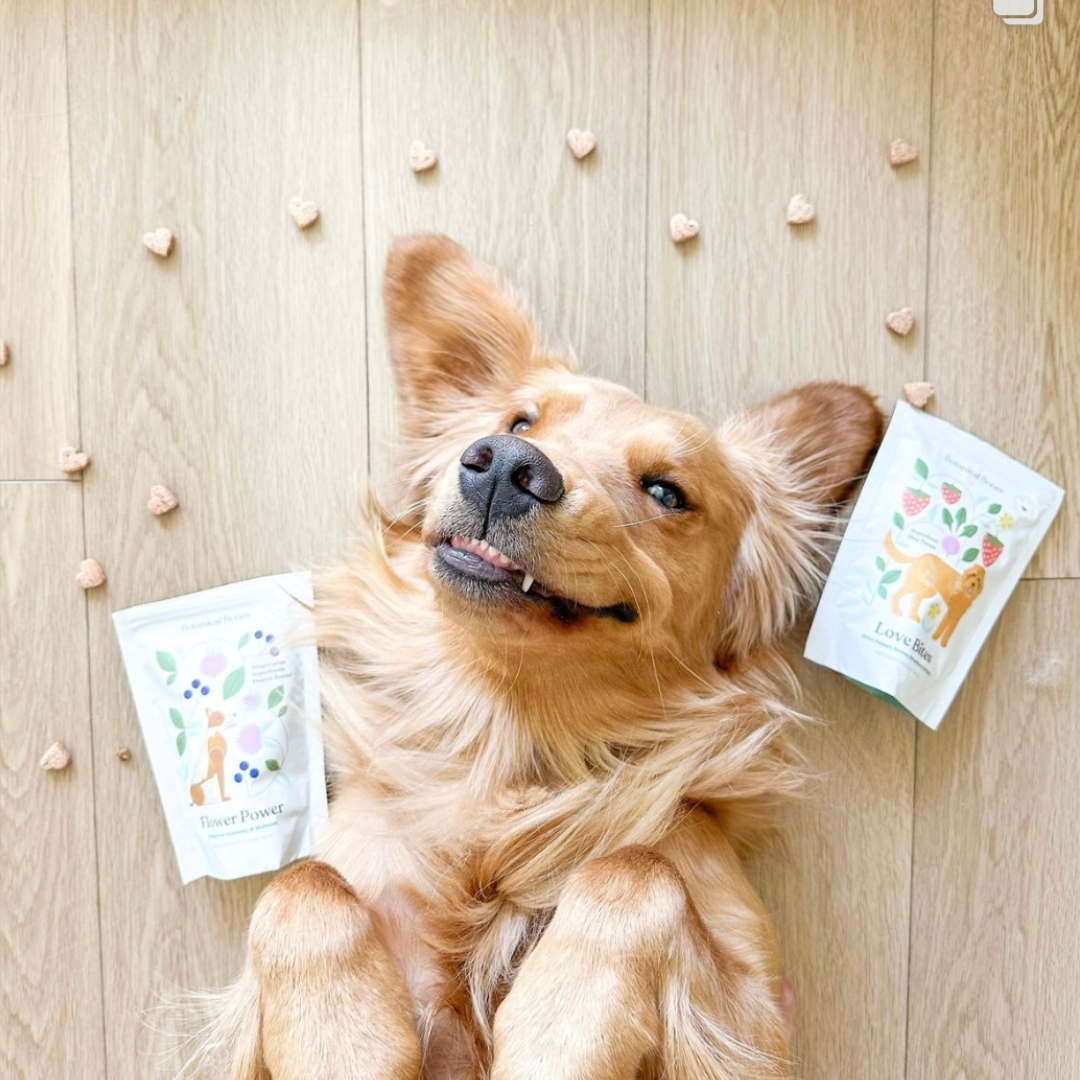 A bag of love bites dog treats, made by botanical bones, and a happy dog