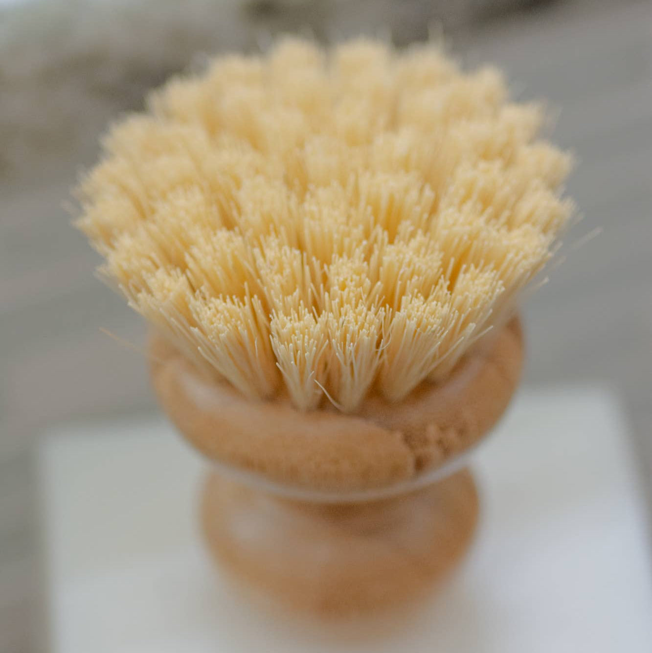 A dish cleaning brush.