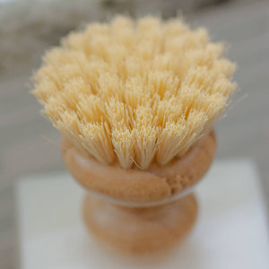 A dish cleaning brush.