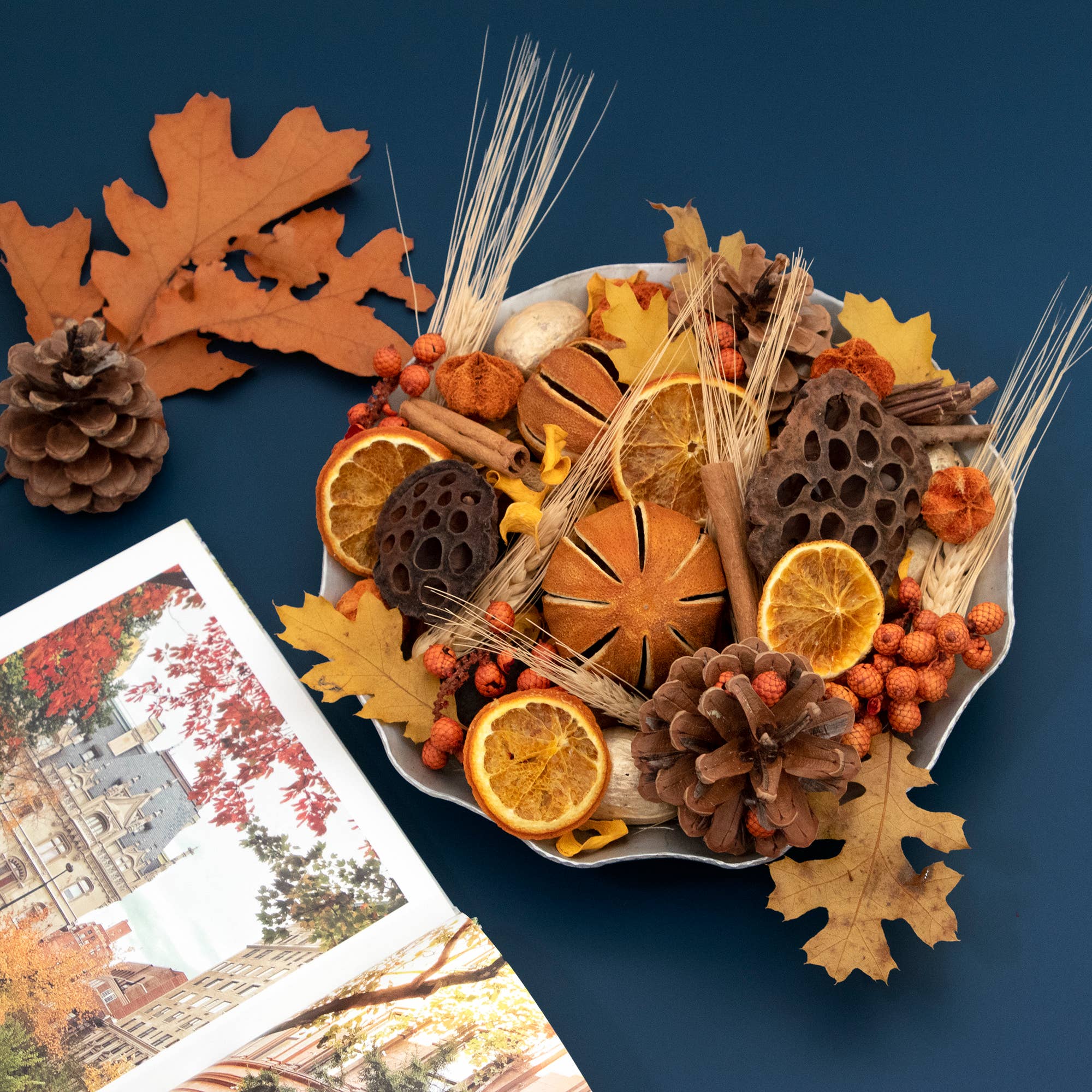Andaluca | Harvest Citrus Potpourri Jar