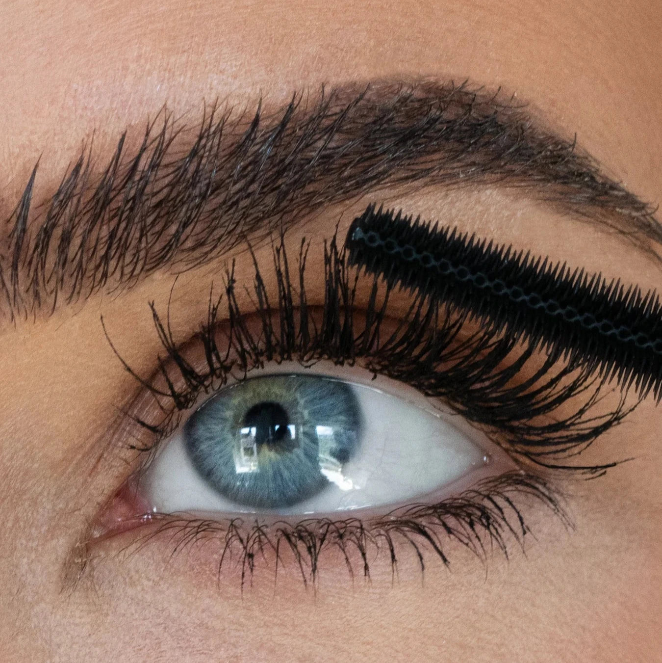 The Sweed Beauty cloud mascara