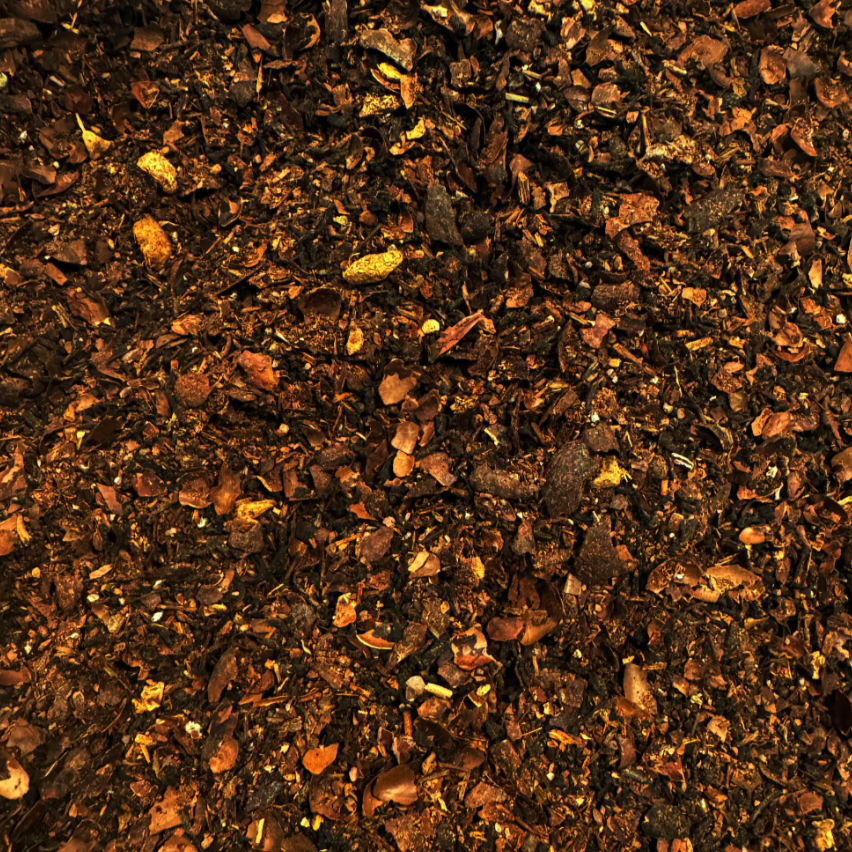 Hand holding a cylindrical container labeled 'Cacao Chai' by 'The Quiet Botanist' on a white background