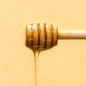 Vitruvi | Golden Fig Air Scent Refill