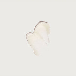 White feather on a light gray background