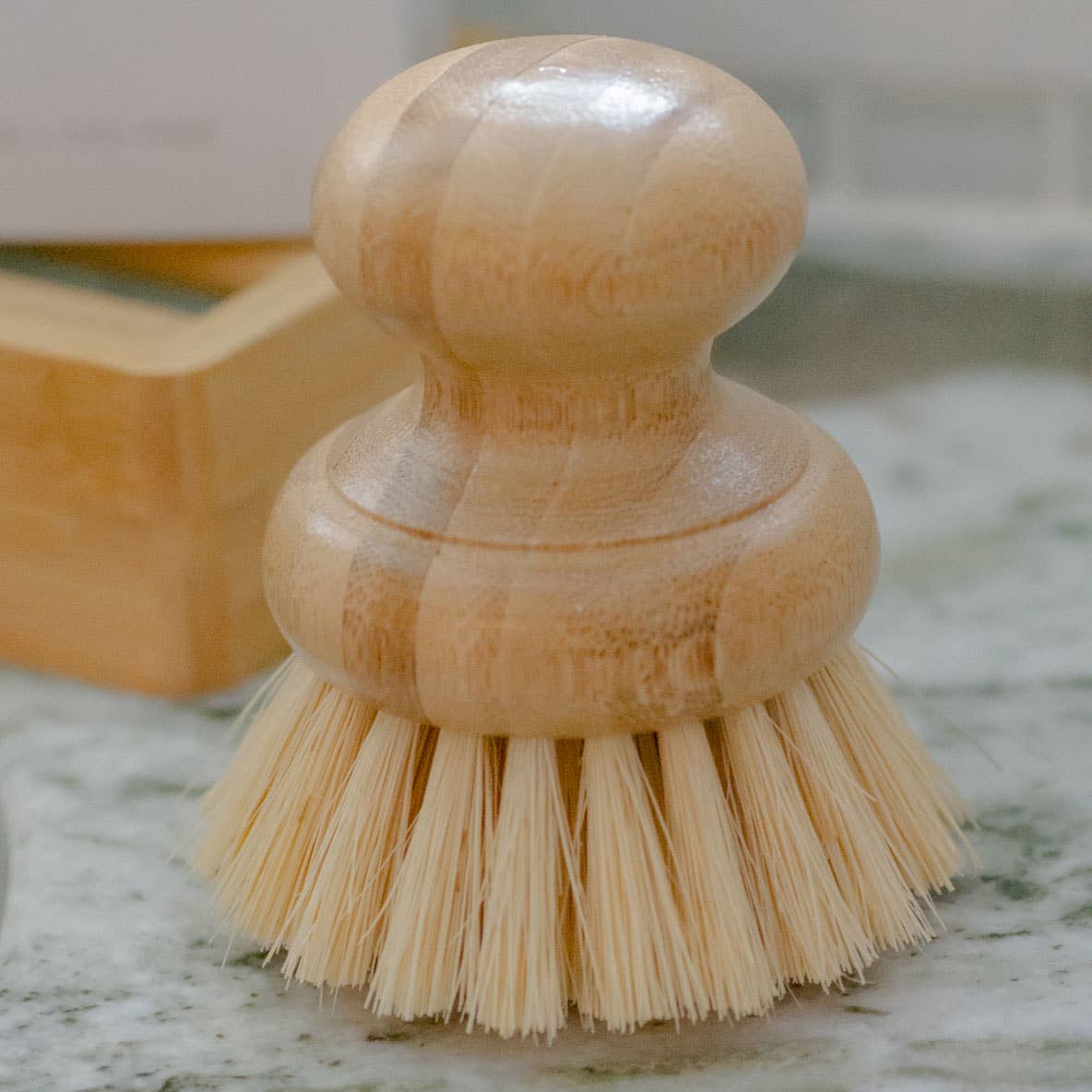 A dig cleaning brush. 