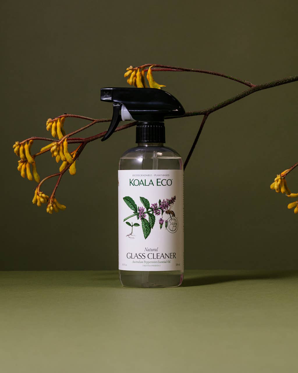 Koala Eco | Natural Peppermint Eco Glass Cleaner