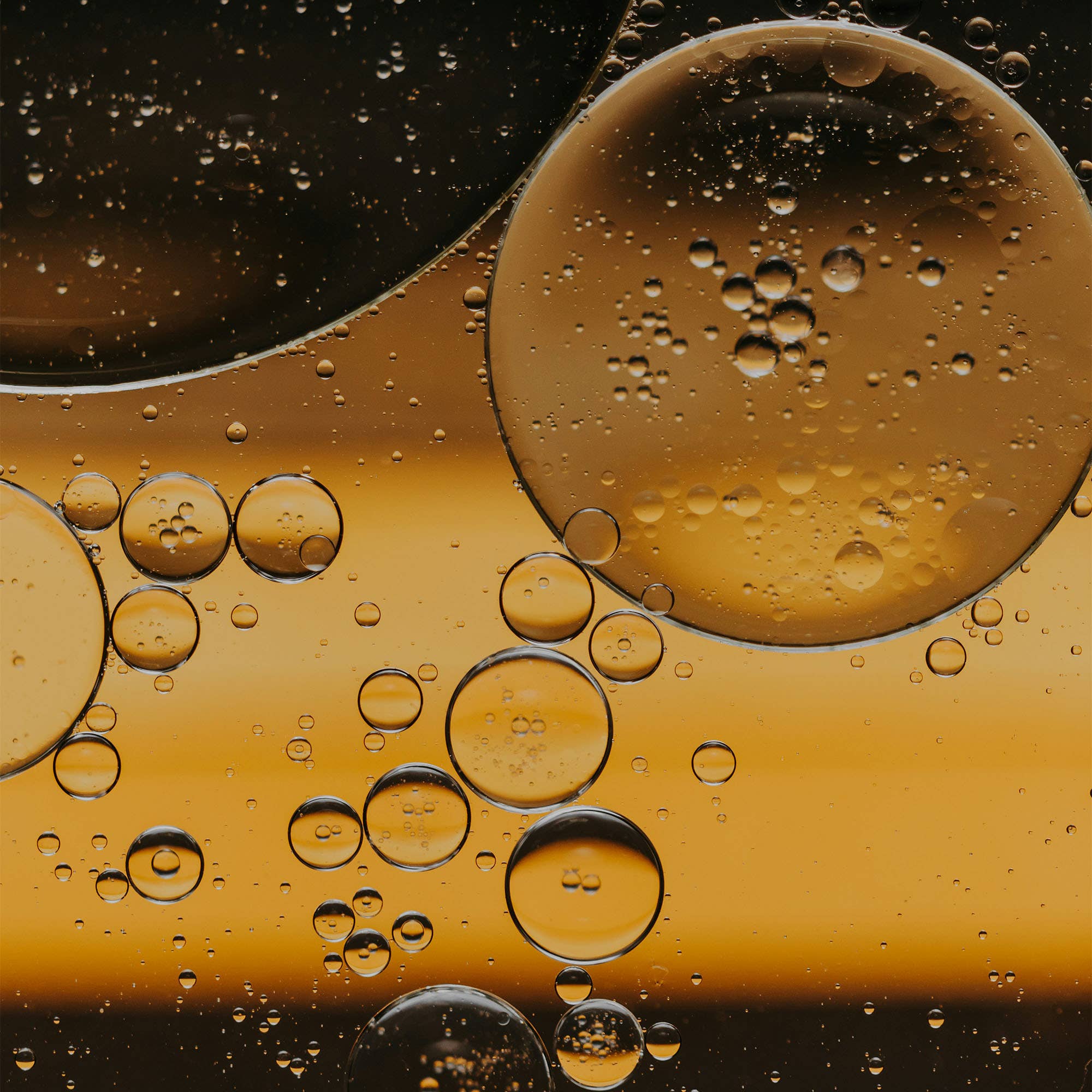 Vitruvi | Woody Santal Air Scent Refill