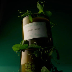 Two 'Green Goddess' candles  with leaves and a dark background.