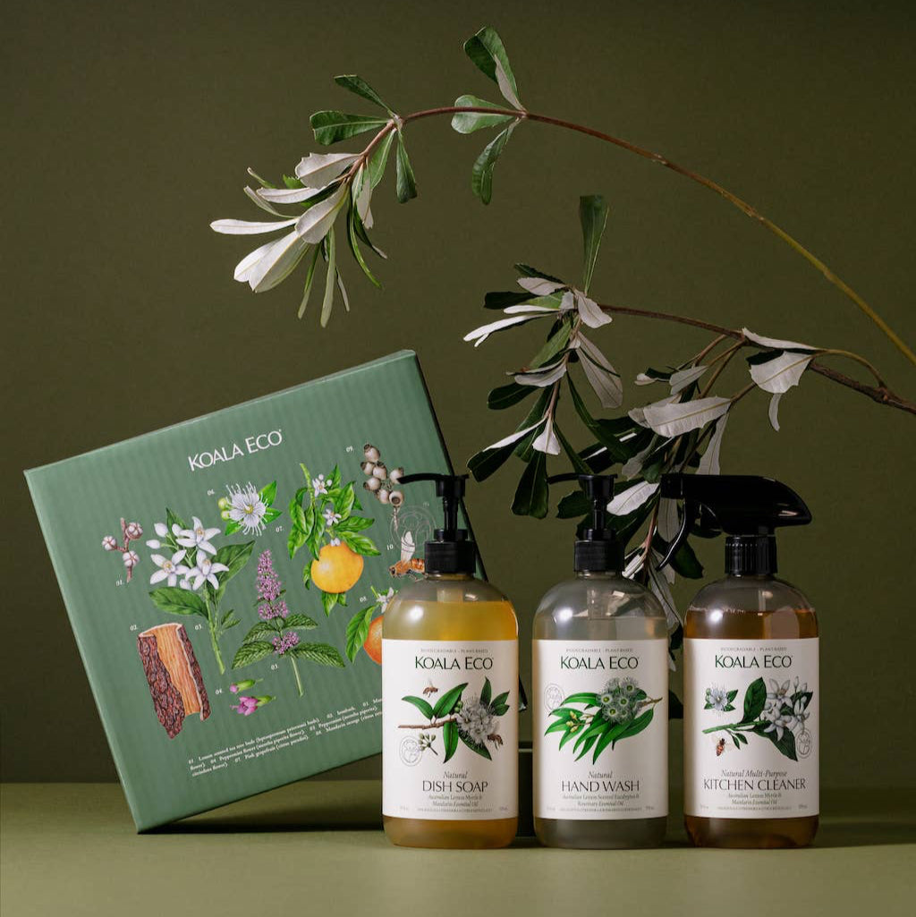 A green Koala Eco box with a bottle of hand wash, dish soap and kitchen cleaner on a green background. 