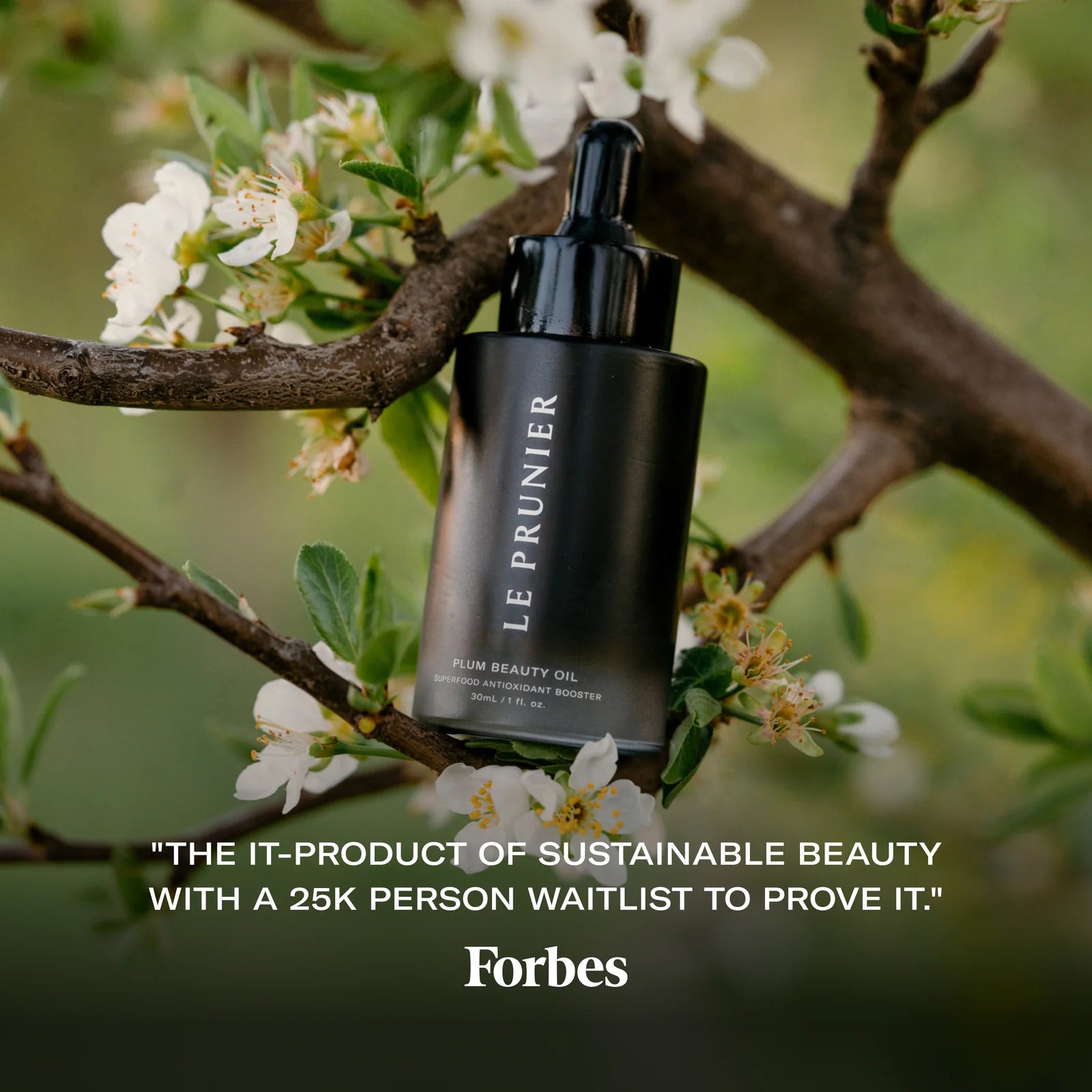 An infographic for the Plum Beauty Oil. The IT Product of sustainable beauty, with a 25,000 person wait list to prove it. 