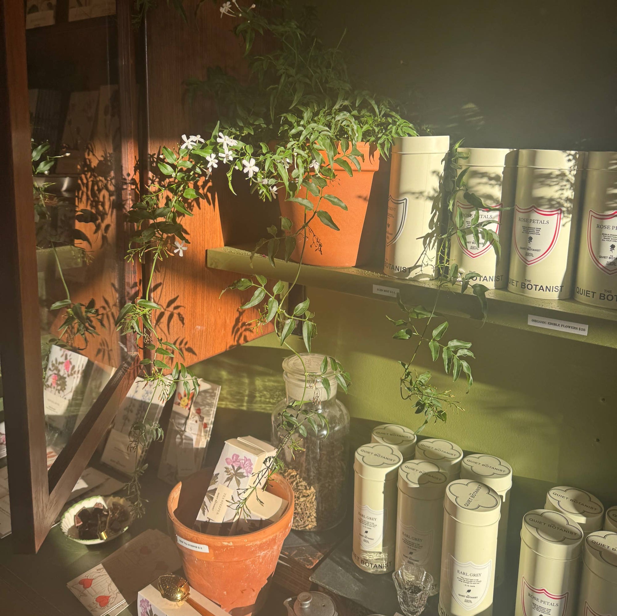 Two bottles with plants inside, one white and one brown, labeled 'The Quiet Botanist' on a light background.
