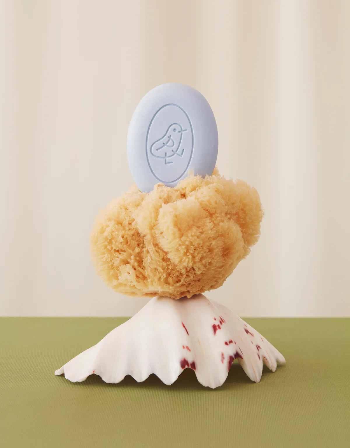A bar of blue soap on top of a sea sponge and a shell