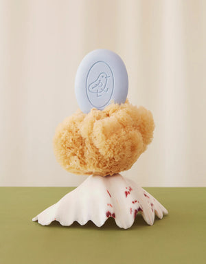 A bar of blue soap on top of a sea sponge and a shell