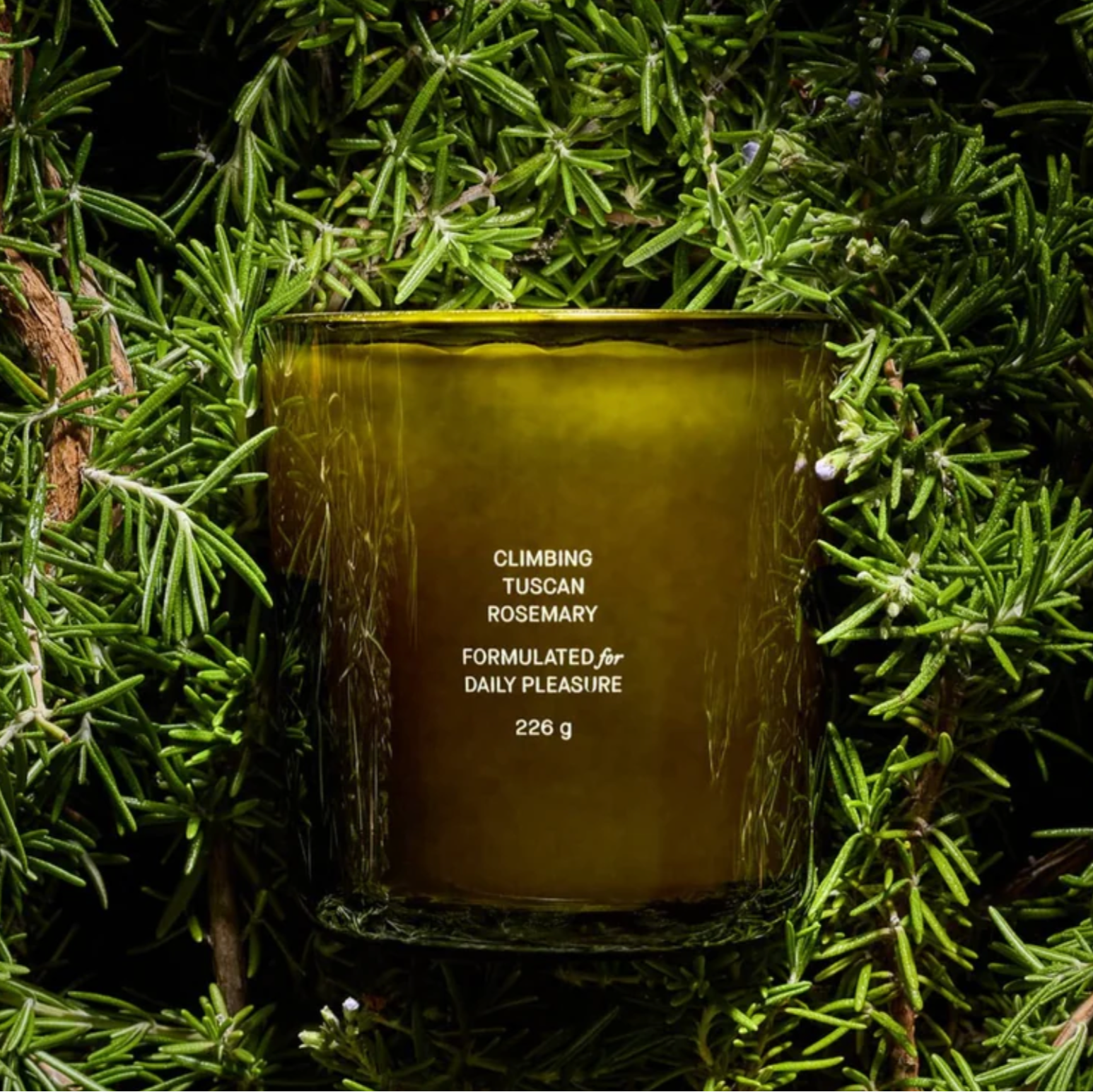 The Flamingo Estate climbing tuscan rosemary candle, in a green glass vessel